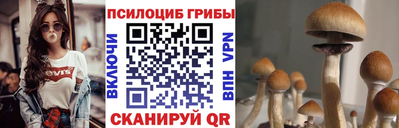 Галлюциногенные грибы мицелий  Купить  Ртищево 